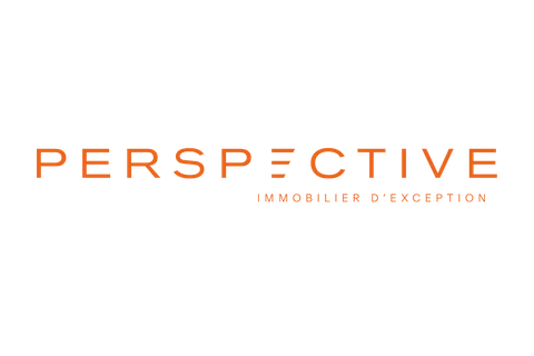 Perspective